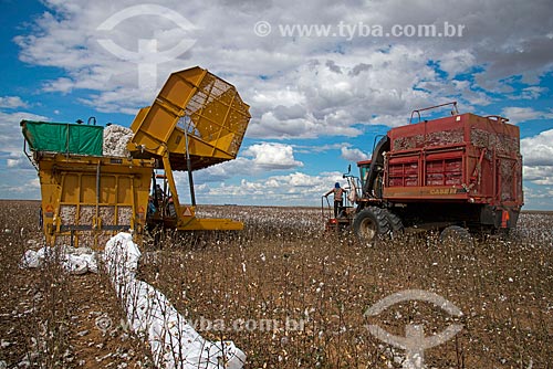  Assunto: Prensa mecânica e colheitadeira em plantação de algodão na zona rural do distrito de Roda Velha / Local: São Desidério - Bahia (BA) - Brasil / Data: 07/2013 