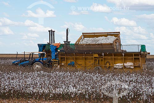  Assunto: Prensa mecânica em plantação de algodão na zona rural do distrito de Roda Velha / Local: São Desidério - Bahia (BA) - Brasil / Data: 07/2013 