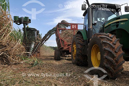  Assunto: Colheita Mecanizada de Cana de Açúcar em zona rural da cidade de Bálsamo / Local: Bálsamo - São Paulo (SP) - Brasil / Data: 09/2013 