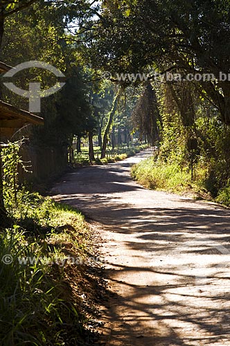  Assunto: Estrada de terra em Capitólio / Local: Capitólio - Minas Gerais (MG) - Brasil / Data: 07/2013 