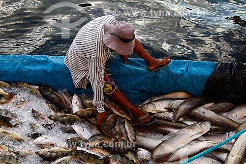  Assunto: Transporte de pescado no Porto de Manaus - Centro Histórico de Manaus / Local: Manaus - Amazonas (AM) - Brasil / Data: 07/2013 