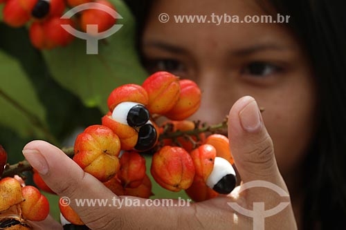  Assunto: Mulher típica da Região Norte segura um ramo do fruto do Guaraná / Local: Amazonas (AM) - Brasil / Data: 11/2011 