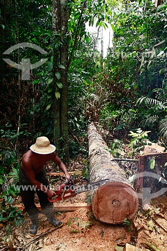  Assunto: Desmatamento na Reserva Florestal do Ubim, na Estrada AM-070 que liga Manaus ao Município de Manacapuru / Local: Amazonas (AM) - Brasil / Data: 09/2013 