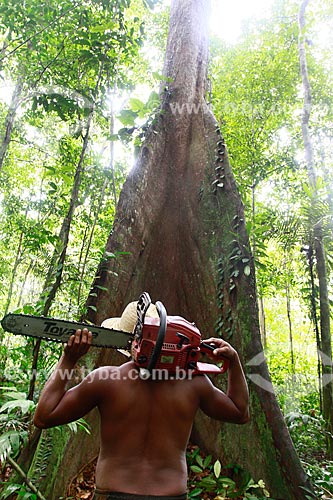  Assunto: Desmatamento na Reserva Florestal do Ubim, na Estrada AM-070 que liga Manaus ao Município de Manacapuru / Local: Amazonas (AM) - Brasil / Data: 09/2013 