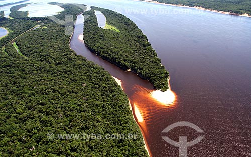  Assunto: Vista aérea do arquipélago fluvial de Anavilhanas no Rio Negro  / Local: Novo Airão - Amazonas (AM) - Brasil / Data: 11/2011 
