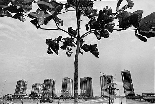  Assunto: Edifícios em construção na Barra da Tijuca / Local: Barra da Tijuca - Rio de Janeiro (RJ) - Brasil / Data: 1977 