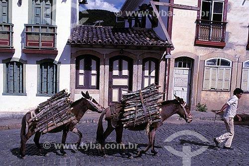  Assunto: Burro carregando lenha / Local: Ouro Preto - Minas Gerais (MG) - Brasil / Data: Década de 70 