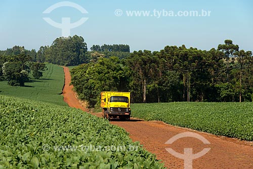  Assunto: Caminhão em estrada de terra em meio à plantação de soja na zona rural de Cascavel / Local: Cascavel - Paraná (PR) - Brasil / Data: 01/2013 