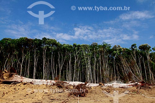  Assunto: Canteiro de obra da futura instalação da cidade universitária em Iranduba / Local: Iranduba - Amazonas (AM) - Brasil / Data: 09/2013 