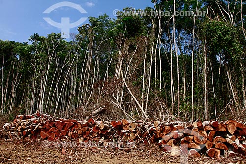  Assunto: Canteiro de obra da futura instalação da cidade universitária em Iranduba / Local: Iranduba - Amazonas (AM) - Brasil / Data: 09/2013 