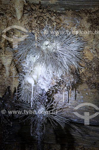  Assunto: Flor de aragonita na Caverna da Torrinha / Local: Iraquara - Bahia (BA) - Brasil / Data: 09/2012 