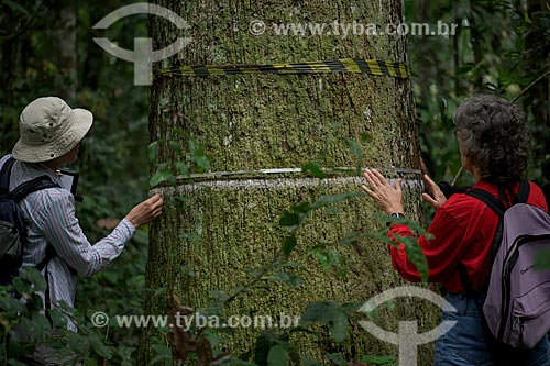  Assunto: Pesquisadoras americanas estudando o tronco de castanheira no Seringal Cachoeira / Local: Xapuri - Acre (AC) - Brasil / Data: 05/2013 