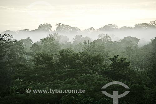  Assunto: Amanhecer na floresta próximo à aldeia Yawanawá / Local: Acre (AC) - Brasil / Data: 04/2013 