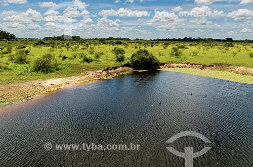  Assunto: Vazante próximo ao Estrada Parque Pantanal em época de seca / Local: Corumbá - Mato Grosso do Sul (MS) - Brasil / Data: 11/2011 