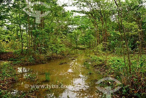  Assunto: Área alagada logo após as primeiras chuvas - início da estação chuvosa no Pantanal / Local: Poconé - Mato Grosso (MT) - Brasil / Data: 10/2012 