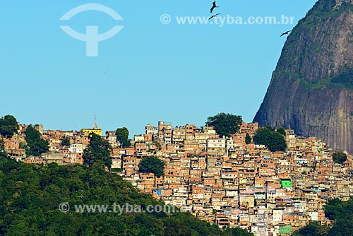  Assunto: Detalhe de casas na favela da Rocinha / Local: São Conrado - Rio de Janeiro (RJ) - Brasil / Data: 07/2013 