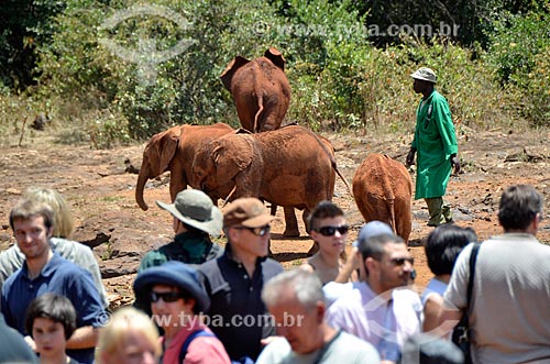  Assunto: Elefantes africano (Loxodonta africana) orfãos do Projeto da ONG The David Sheldrick Wildlife Trust no Parque Nacional de Nairobi / Local: Nairobi - Quênia - África / Data: 09/2012 