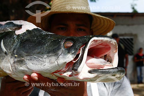  Assunto: Ribeirinho com pirarucu (Arapaima gigas) nas mãos / Local: Maraã - Amazonas (AM) - Brasil / Data: 11/2013 