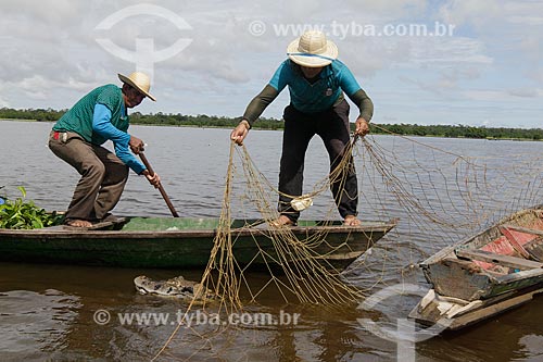  Assunto: Jacaré capturado numa rede de pescadores / Local: Maraã - Amazonas (AM) - Brasil / Data: 11/2013 