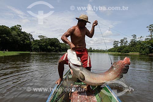  Assunto: Pesca do Pirarucu (Arapaima gigas) / Local: Maraã - Amazonas (AM) - Brasil / Data: 11/2013 