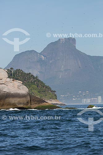  Assunto: Ilha Palmas e um trecho da Ilha Cagarra - parte do Monumento Natural das Ilhas Cagarras - com a Pedra da Gávea ao fundo / Local: Rio de Janeiro (RJ) - Brasil / Data: 11/2013 