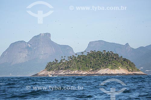  Assunto: Ilha Palmas - parte do Monumento Natural das Ilhas Cagarras - com a Pedra da Gávea ao fundo / Local: Rio de Janeiro (RJ) - Brasil / Data: 11/2013 