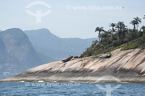  Assunto: Ilha Palmas - parte do Monumento Natural das Ilhas Cagarras / Local: Rio de Janeiro (RJ) - Brasil / Data: 11/2013 
