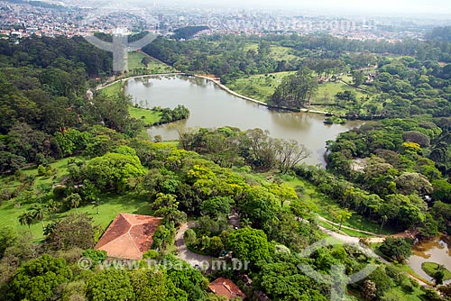 Capivaras passeando pelo Parque do Carmo, zona leste de São Paulo