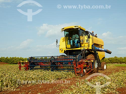  Assunto: Colheita mecanizada de plantação de soja / Local: Holambra - São Paulo (SP) - Brasil / Data: 12/2013 