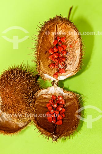  Assunto: Sementes de urucum ainda na fruto / Local: Porto Velho - Rondônia (RO) - Brasil / Data: 07/2010 