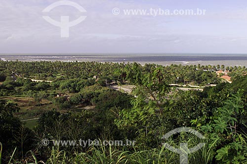 Assunto: Vegetação com o mar ao fundo / Local: Distrito de Arraial DAjuda - Porto Seguro - Bahia (BA) - Brasil / Data: 04/1991 
