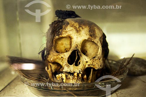  Assunto: Crânio humano localizado no Sítio Arqueológico Furna do Estrago / Local: Brejo da Madre de Deus - Pernambuco (PE) - Brasil / Data: 01/2014 