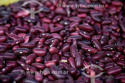  Assunto: Detalhe de grãos de feijão roxo / Local: Peru - América do Sul / Data: 01/2012 