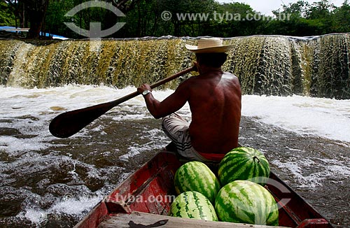  Assunto: Homem transportando melancias na canoa / Local: Amazonas (AM) - Brasil / Data: 11/2013 