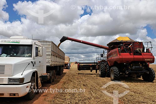  Assunto: Descarga de soja em caminhão graneleiro / Local: Chapadão do Sul - Mato Grosso do Sul (MS) - Brasil / Data: 02/2014 