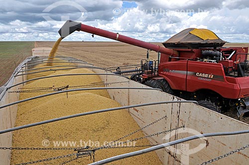  Assunto: Descarga de soja em caminhão graneleiro / Local: Chapadão do Sul - Mato Grosso do Sul (MS) - Brasil / Data: 02/2014 