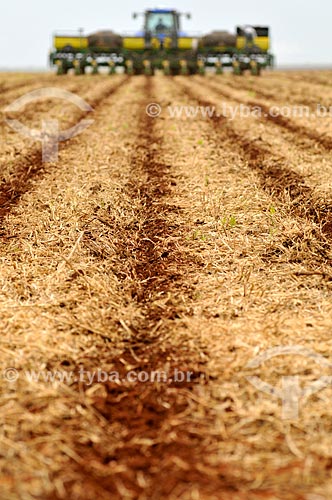  Assunto: Plantío direto de milho / Local: Chapadão do Sul - Mato Grosso do Sul (MS) - Brasil / Data: 02/2014 