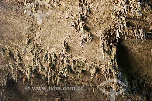  Assunto: Estalactites na gruta do Lago Azul / Local: Bonito - Mato Grosso do Sul (MS) - Brasil / Data: 04/2008 