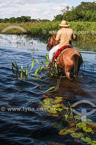  Assunto: Vaqueiro atravessando área alagada no Pantanal Matogrossense / Local: Mato Grosso do Sul (MS) - Brasil / Data: 04/2008 