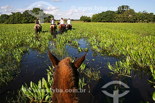  Assunto: Turistas atravessando área alagada no Pantanal Matogrossense / Local: Mato Grosso do Sul (MS) - Brasil / Data: 04/2008 