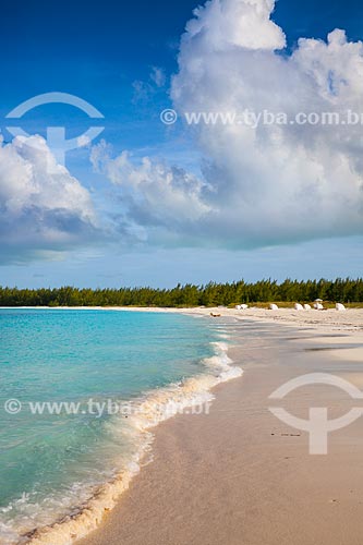  Assunto: Praia no litoral das Bahamas / Local: Bahamas - América Central / Data: 06/2013 