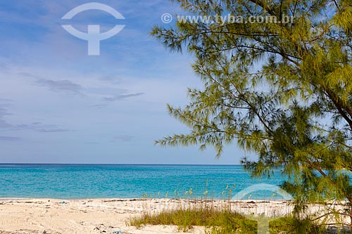  Assunto: Praia no litoral das Bahamas / Local: Bahamas - América Central / Data: 06/2013 
