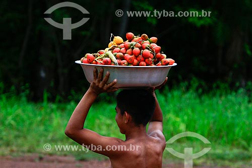  Assunto: Ribeirinho carregando bacia com o fruto da Pupunha (Bactris gasipaes) / Local: Manacapuru - Amazonas (AM) - Brasil / Data: 03/2014 