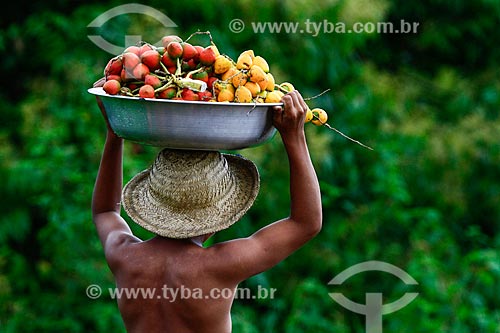  Assunto: Ribeirinho carregando bacia com o fruto da Pupunha (Bactris gasipaes) / Local: Manacapuru - Amazonas (AM) - Brasil / Data: 03/2014 