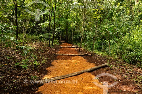  Assunto: Trilha da Cutia no Parque Natural Municipal Salto do Sucuriú / Local: Costa Rica - Mato Grosso do Sul (MS) - Brasil / Data: 02/2014 