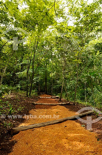  Assunto: Trilha da Cutia no Parque Natural Municipal Salto do Sucuriú / Local: Costa Rica - Mato Grosso do Sul (MS) - Brasil / Data: 02/2014 