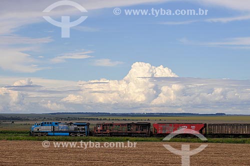  Assunto: Trem carregado / Local: Chapadão do Sul - Mato Grosso do Sul (MS) - Brasil / Data: 02/2014 