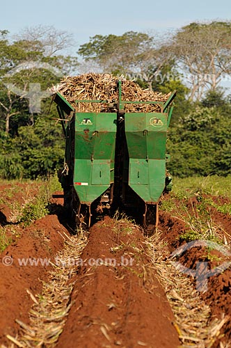  Assunto: Plantio mecanizado de Cana-de-açúcar / Local: São Simão - Goiás (GO) - Brasil / Data: 02/2014 