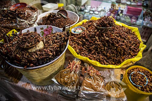  Assunto: Chapulines - gafanhotos geralmente torrados com alho, suco de limão e sal / Local: México - América do Norte / Data: 10/2013 