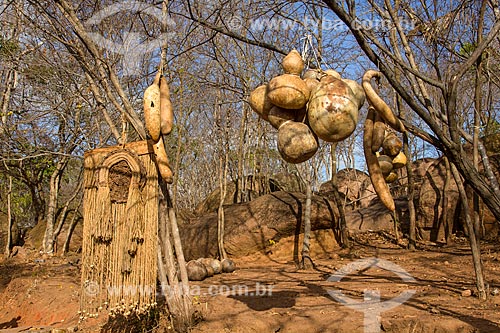  Assunto: Cabaças penduradas em árvore / Local: Juazeiro do Norte - Ceará (CE) - Brasil / Data: 10/2012 
